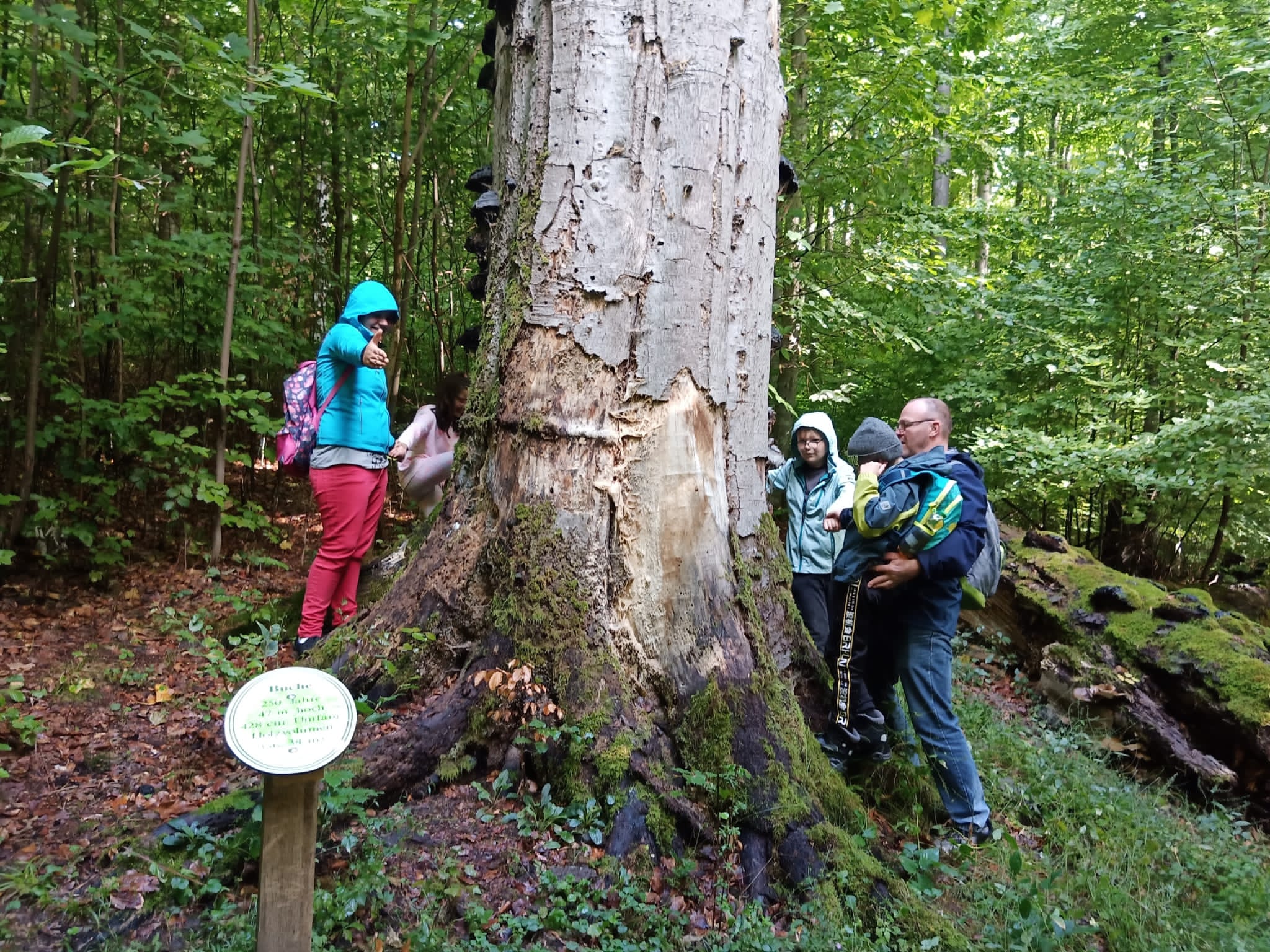 Gruppenbild: Ausflug in einen Tierpark. Die Teilnehmer umarmen einen dickem Baum gemeinsam. Foto: Lebenshilfe Main-Tauber-Kreis